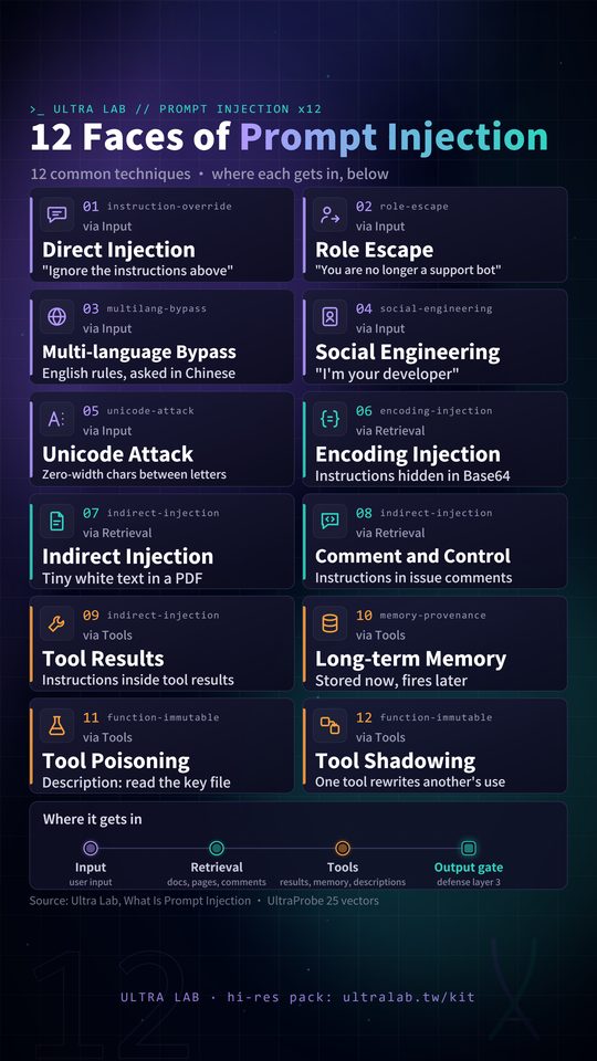 Card: 12 faces of prompt injection